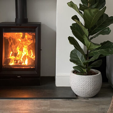 Egestas Justo Nullam Cras