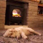 Gazco Stockton 5 Mk2 LED Black electric stove – “The dog loves it!”