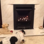 “Oscar seems to like the new fire!”