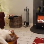 Stovax Futura 5 Wood stove – “What a transformation!”