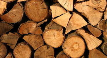 Identifying Good Firewood
