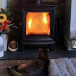 Stovax Chesterfield 5 wood burning stove – “Enjoyed by the whole family (even your pet!)”