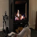 Gazco Vogue Midi T Midline gas stove – “Hot Dog”