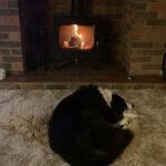 Stovax Futura 5 wood burning stove – “Let sleeping dogs lie…”