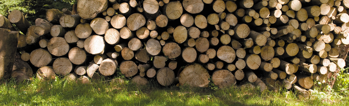 Keep your logs dry and burn-ready