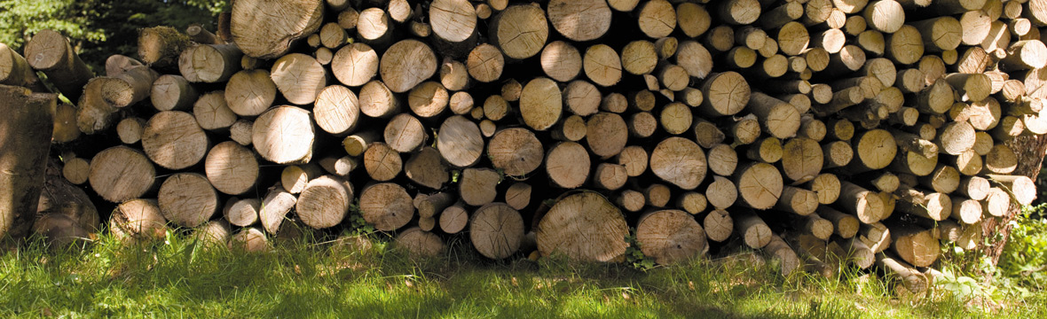  Keep your logs dry and burn-ready