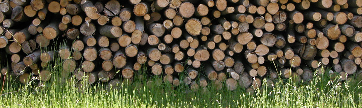 Log Pile Buy your logs now – you do not have to wait until autumn!