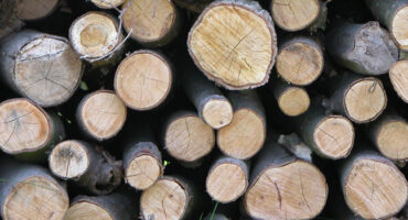 Tips on buying logs for your wood burning stove