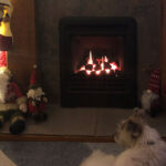 Gazco Logic HE Gas fire – “Warm Cozy and looks fantastic”