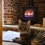 Stovax Stockton 5 Woodburning Stove – “Cosy cat”