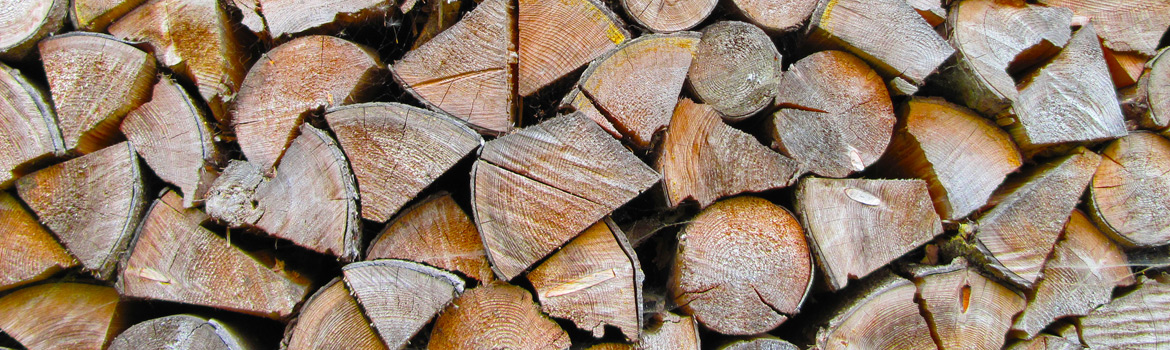 Ordering logs for your wood burning stove