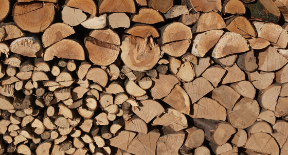 How to identify good firewood for your wood burning stove
